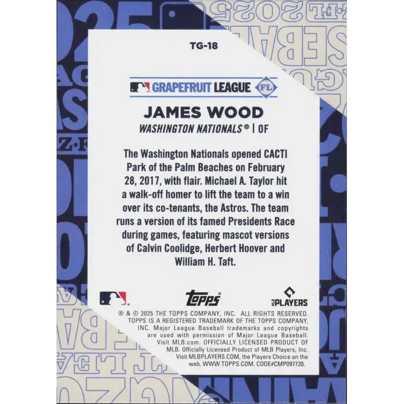 2025 Topps Training Grounds #TG-18 James Wood NM-MT Washington Nationals Baseball Card - Baseball Card Single