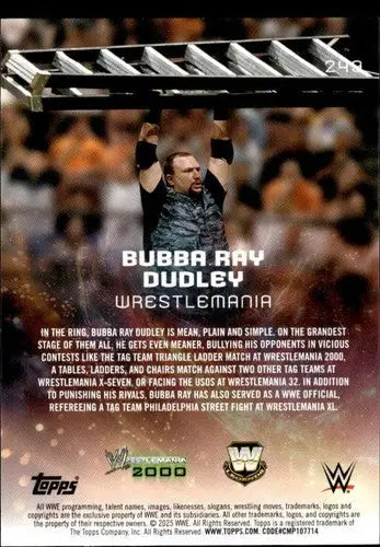 2025 Topps Universe WWE #249 Bubba Ray Dudley NM-MT ID:81651 - Wrestling Card Single