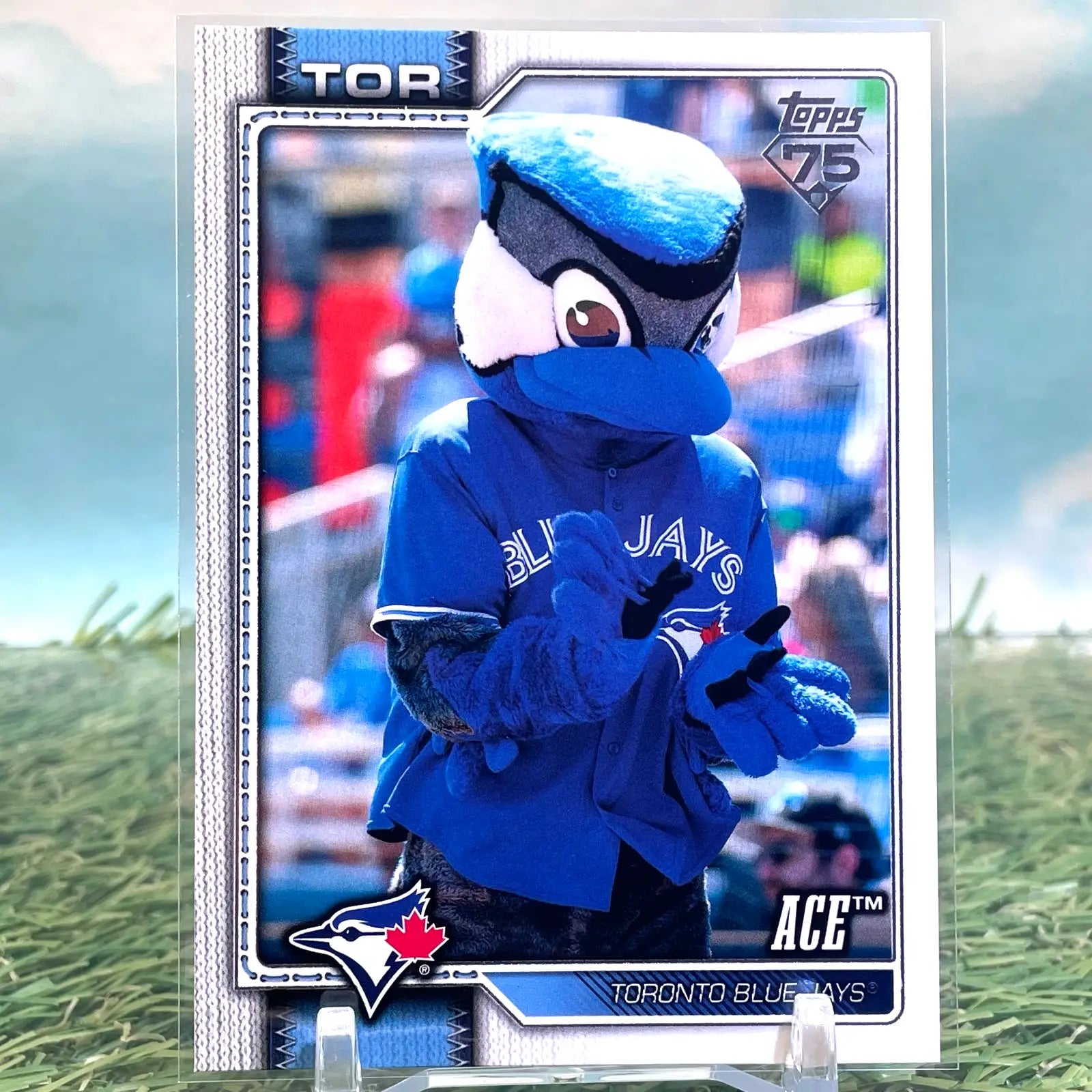 2026 Topps Celebration #M-28 ACE Mascots Toronto Blue Jays KM27 - Baseball Card Single