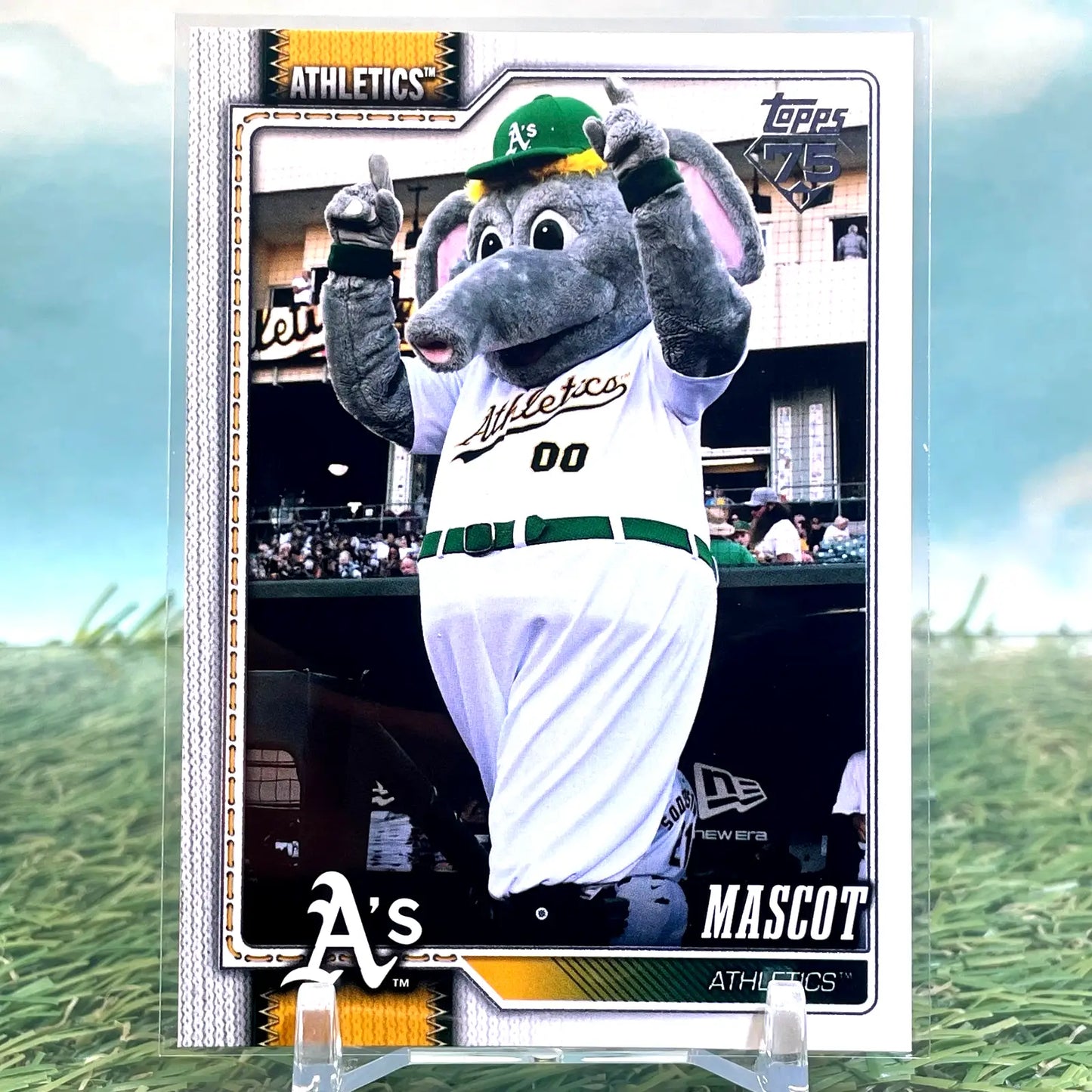2026 Topps Celebration Mascot #M-16 Athletics Mascot KM31 - Baseball Card Single
