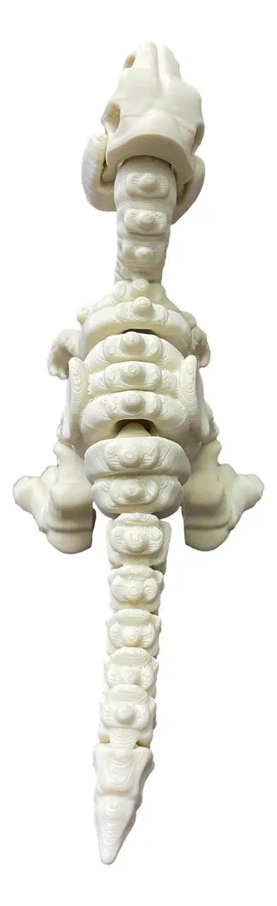 3D Printed Skeleton T-Rex – Posable Fossil Raptor Toy - Dinosaurs - Action Figure & Toy