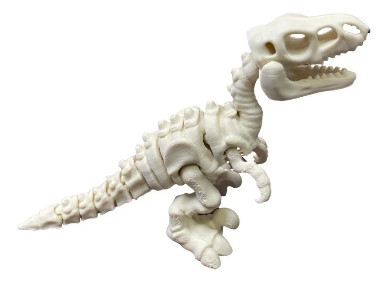 3D Printed Skeleton Velociraptor – Posable Fossil Raptor Toy - Dinosaurs - Other