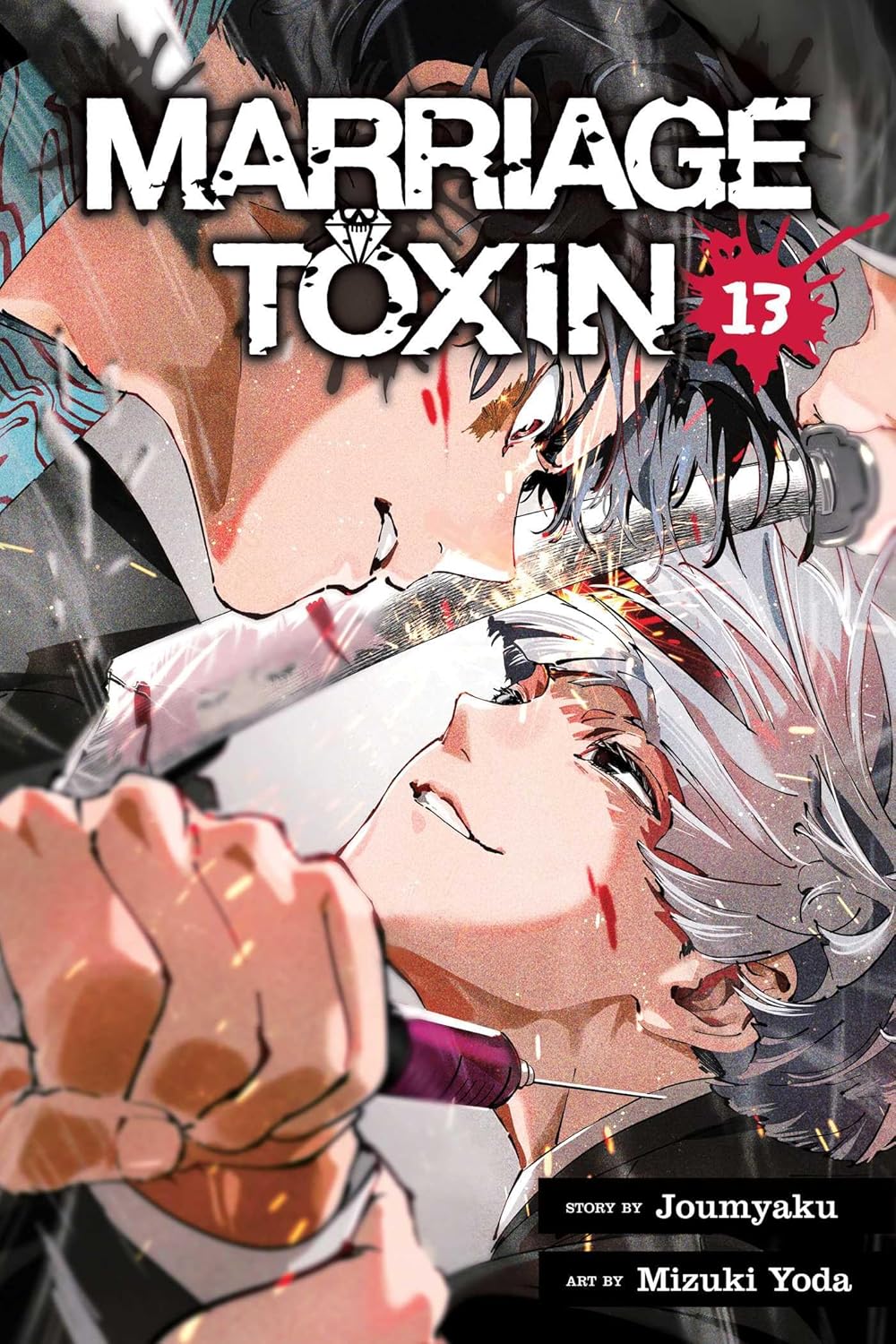 Marriage Toxin Graphic Novel Volume 13