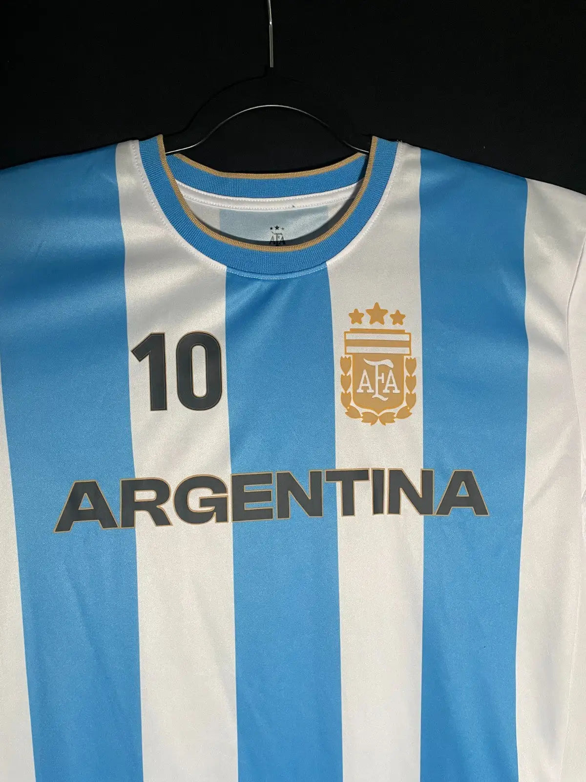 AFA Official Soccer Jersey Blue White Argentina LARGE Lionel Messi #10 Licensed - Apparel