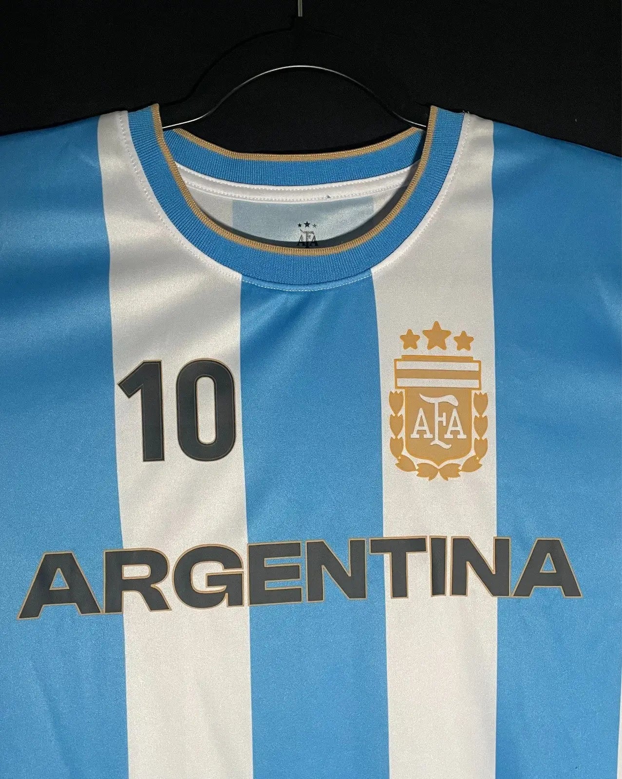 AFA Official Soccer Jersey Blue White Argentina LARGE Lionel Messi #10 Licensed - Apparel
