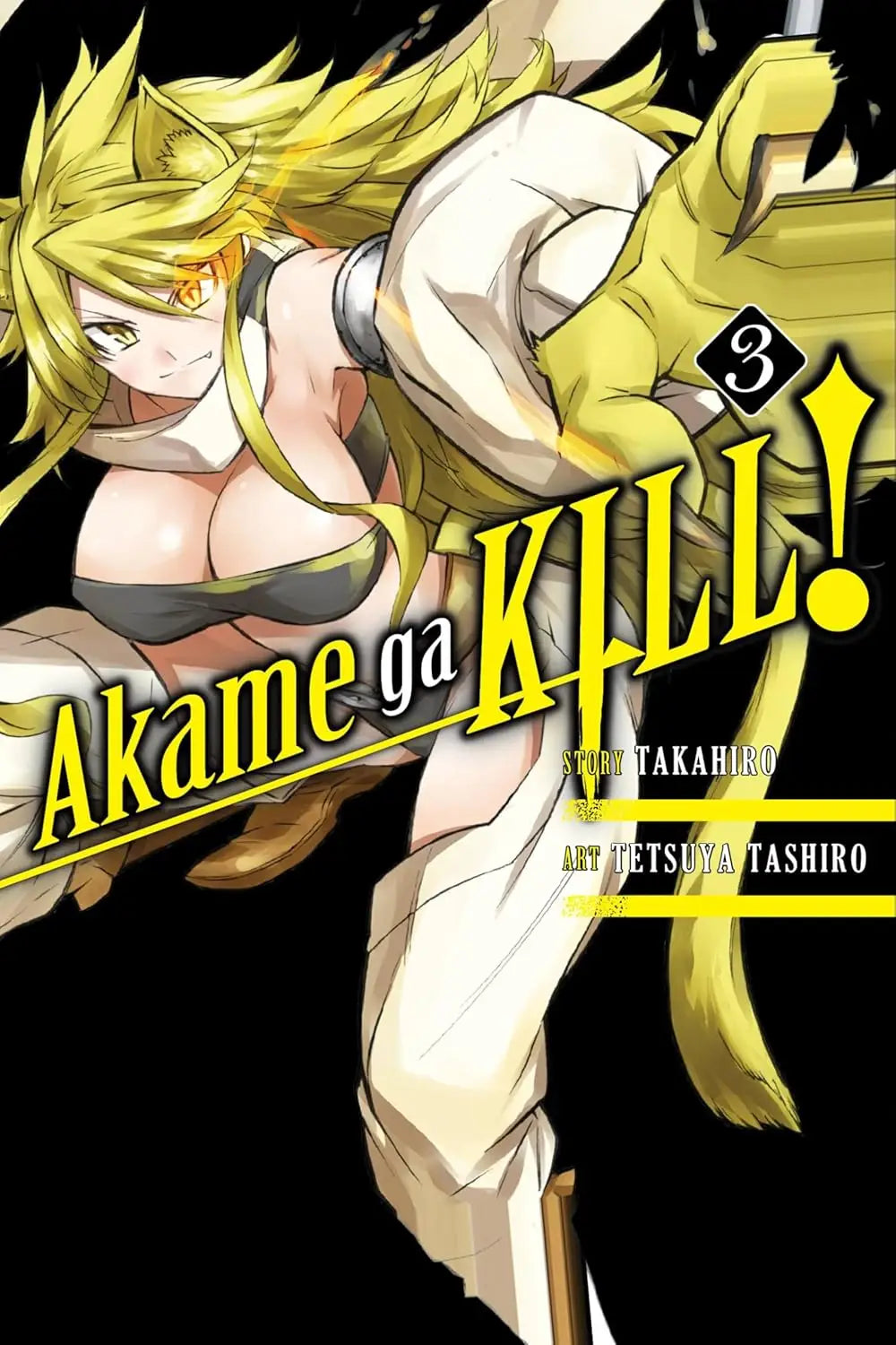 Akame Ga Kill Graphic Novel Volume 03 - Comic Book