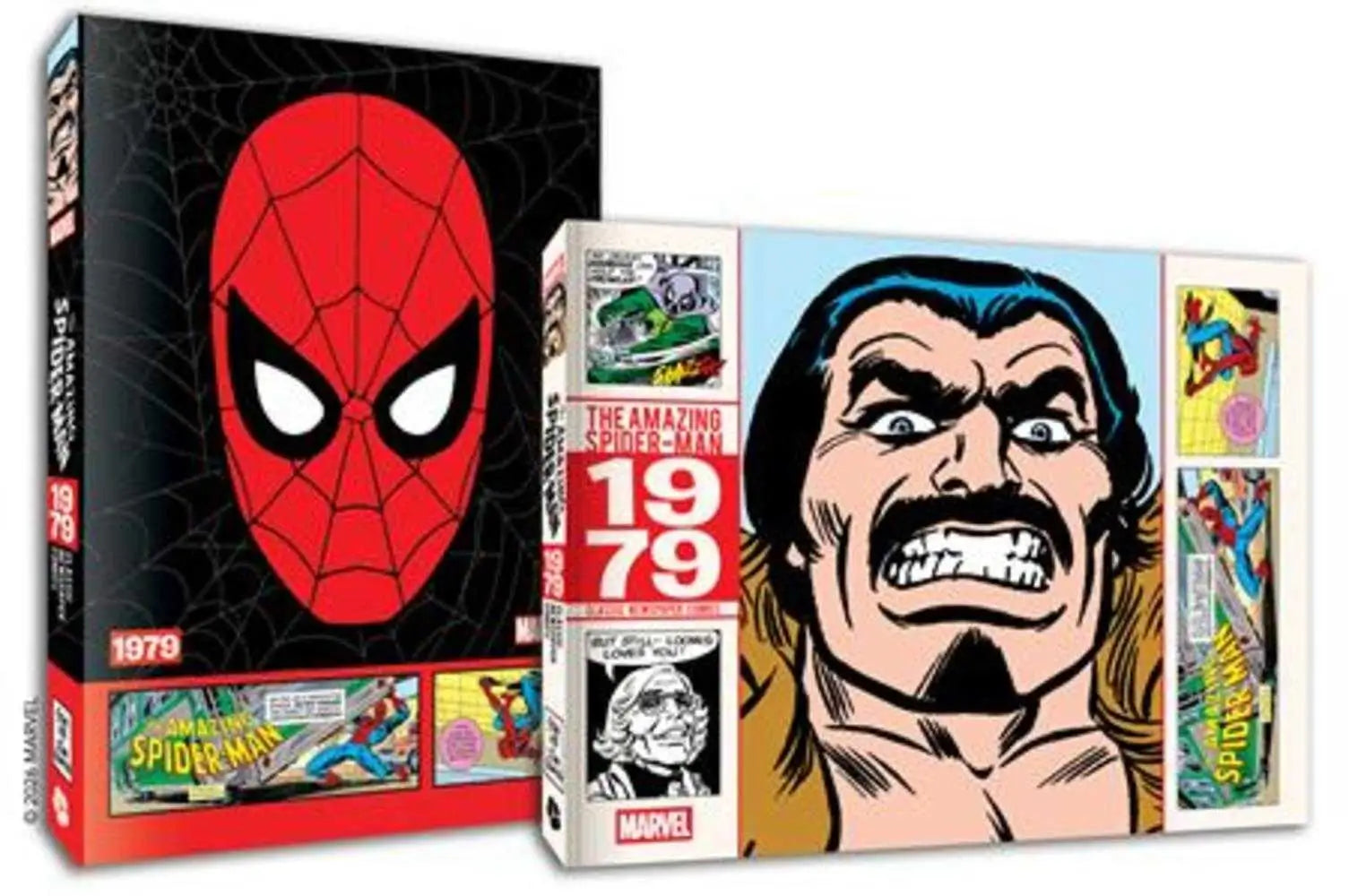 Amazing Spider-Man Classic Newspaper Comics TPB 1979 - Graphic Novels