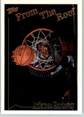 Anfernee Hardaway - 1994-95 Topps - #76 - Basketball - Basketball Card Single