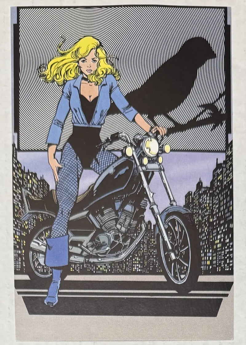 Black Canary Postcard 1984 Unposted - Non-Sports Card Single