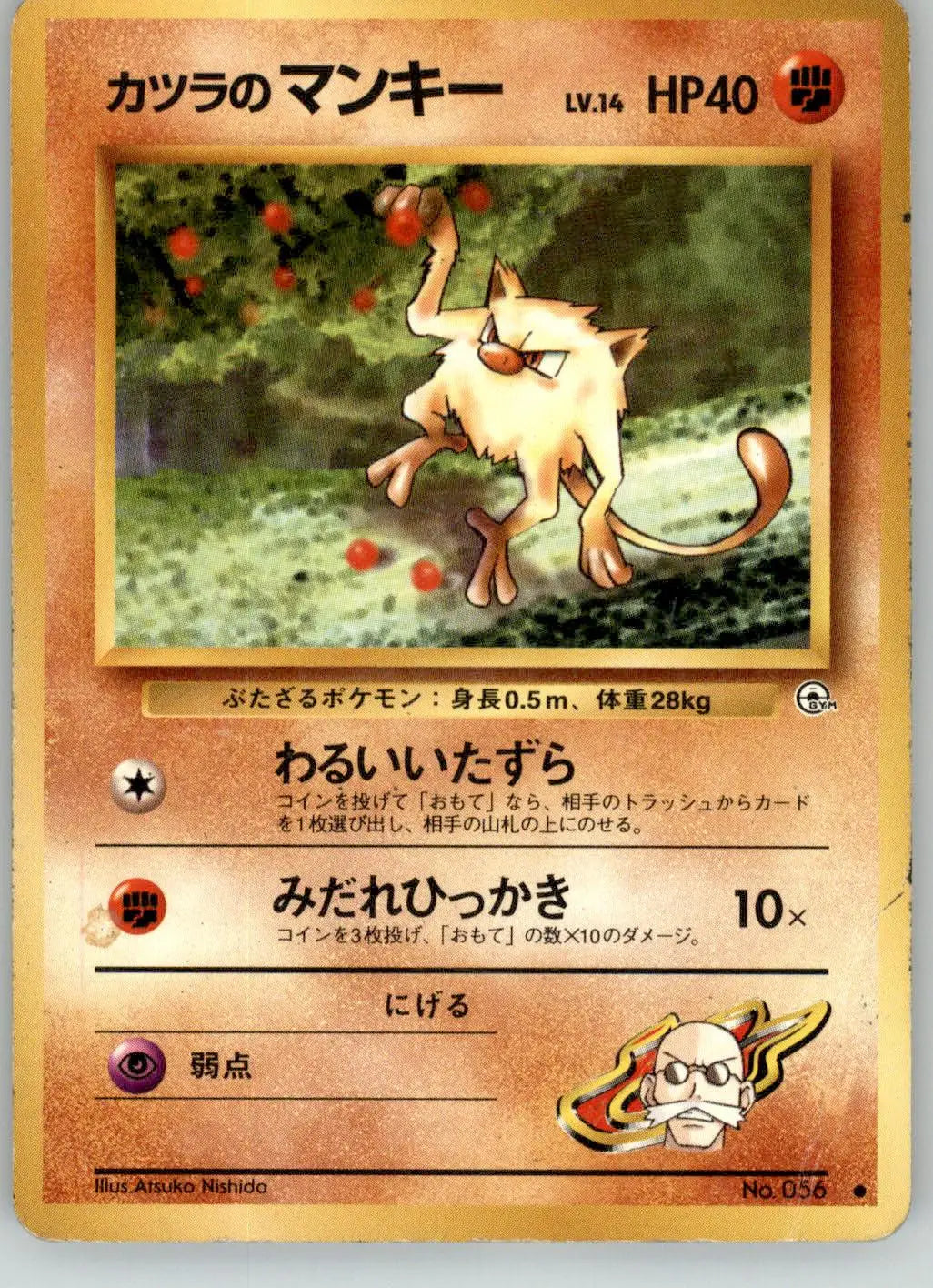 Blaine’s Mankey - Gym Challenge - NO. 056 - DMG Pokemon