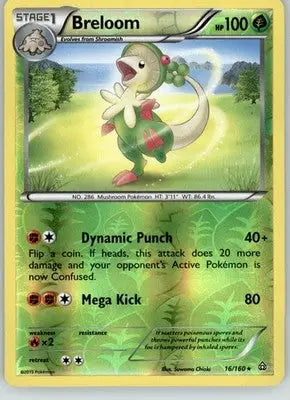 Breloom - Primal Clash - 16/160 - Reverse Holo LP Pokemon - Pokémon Card Single