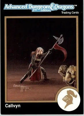 Callvyn - 1992 TSR Advanced Dungeons & Dragons - #300 - Non_sport - Non-Sports Card Single