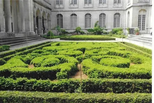 Carnavalet Museum Paris France Fuji Film Actual Picture Photo Photograph Color - Entertainment Memorabilia