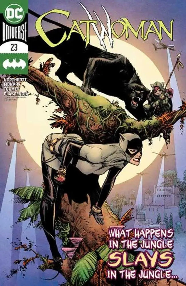 Comic book cover for Catwoman #23 showcasing action with a moonlit backdrop