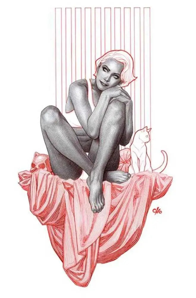 Catwoman #79 Cover B Frank Cho Card Stock Variant - Comic Book