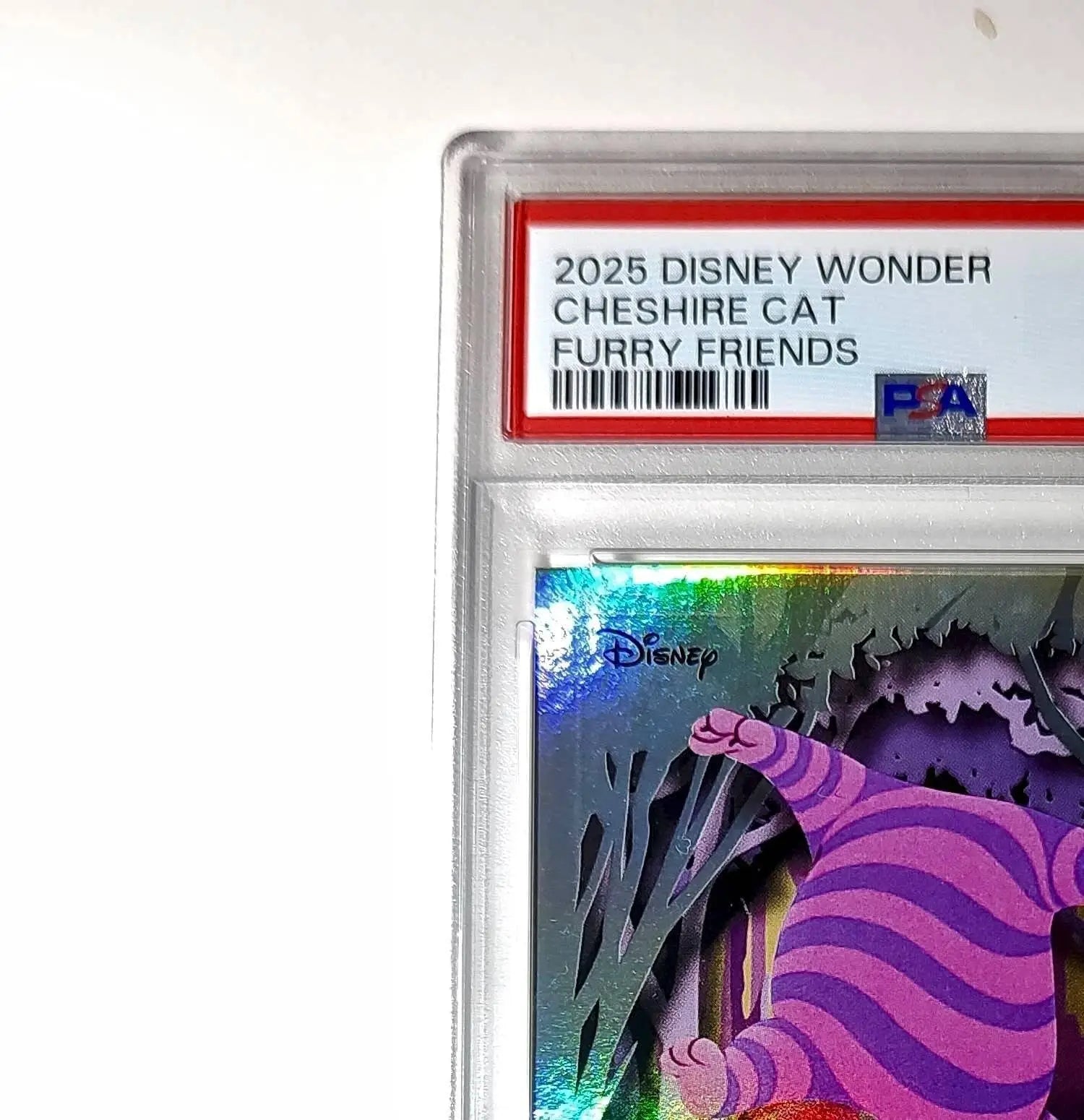 Cheshire Cat 2025 Topps Disney #FF-6 Furry Friends Card PSA 8 - Non-Sports Card Single