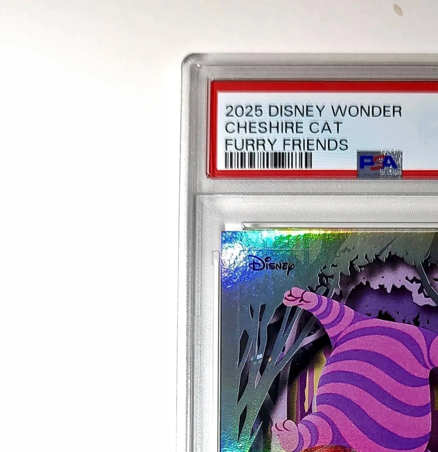 Cheshire Cat 2025 Topps Disney #FF-6 Furry Friends Card PSA 9 MT - Non-Sports Card Single