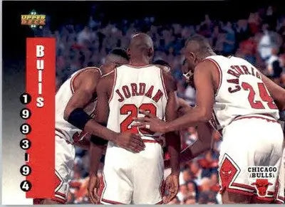 Chicago Bulls - 1993-94 Upper Deck - #213 - Basketball - Basketball Card Single
