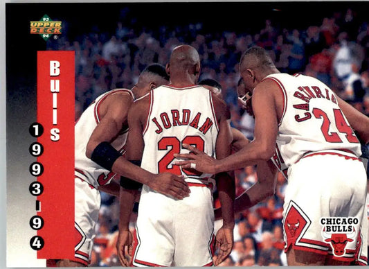Chicago Bulls - 1993-94 Upper Deck - #213 - Basketball - Basketball Card Single
