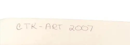 Handwritten CTK-ART 2007 artwork from Classroom Art for ages 11+ by Amelia Ruscoe