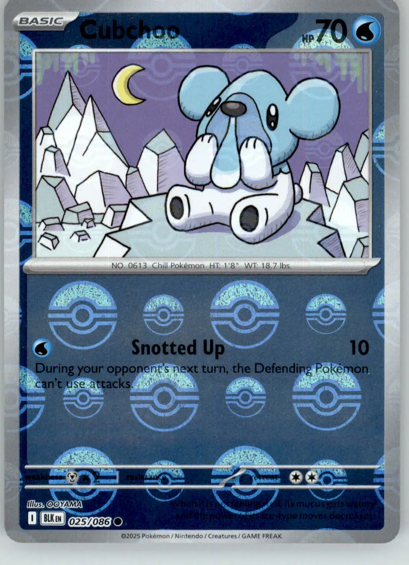 Cubchoo - Poke Ball Pattern - Black Bolt - 025/086 - Holo NM Pokemon