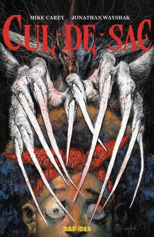 Cul De Sac #1 (Of 5) 2nd Print - Comic Book