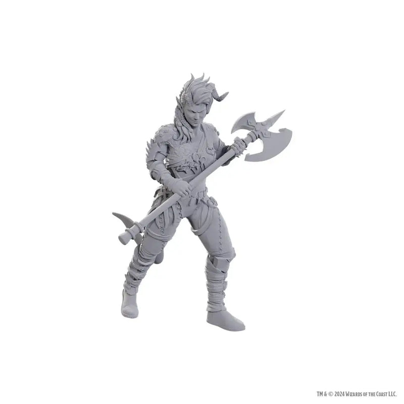 D&D Nolzur’s Marvelous Miniatures: Special Edition Baldur’s Gate 3, Wyll & Karlach - Miniatures - RPG