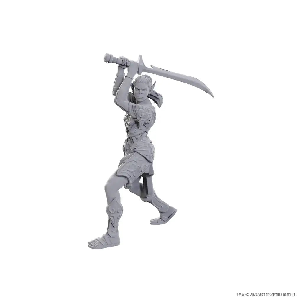 D&D Nolzur’s Marvelous Miniatures: Special Edition Baldur’s Gate 3 — Lae’zel & Shadowheart - Other