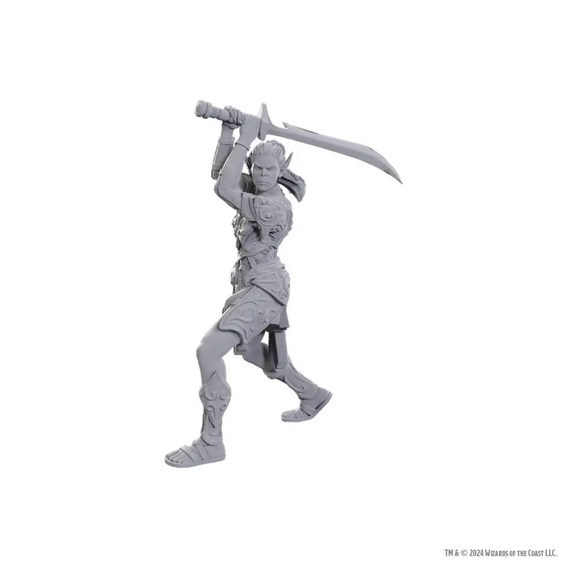 D&D Nolzur’s Marvelous Miniatures: Special Edition Baldur’s Gate 3 — Lae’zel & Shadowheart - Other