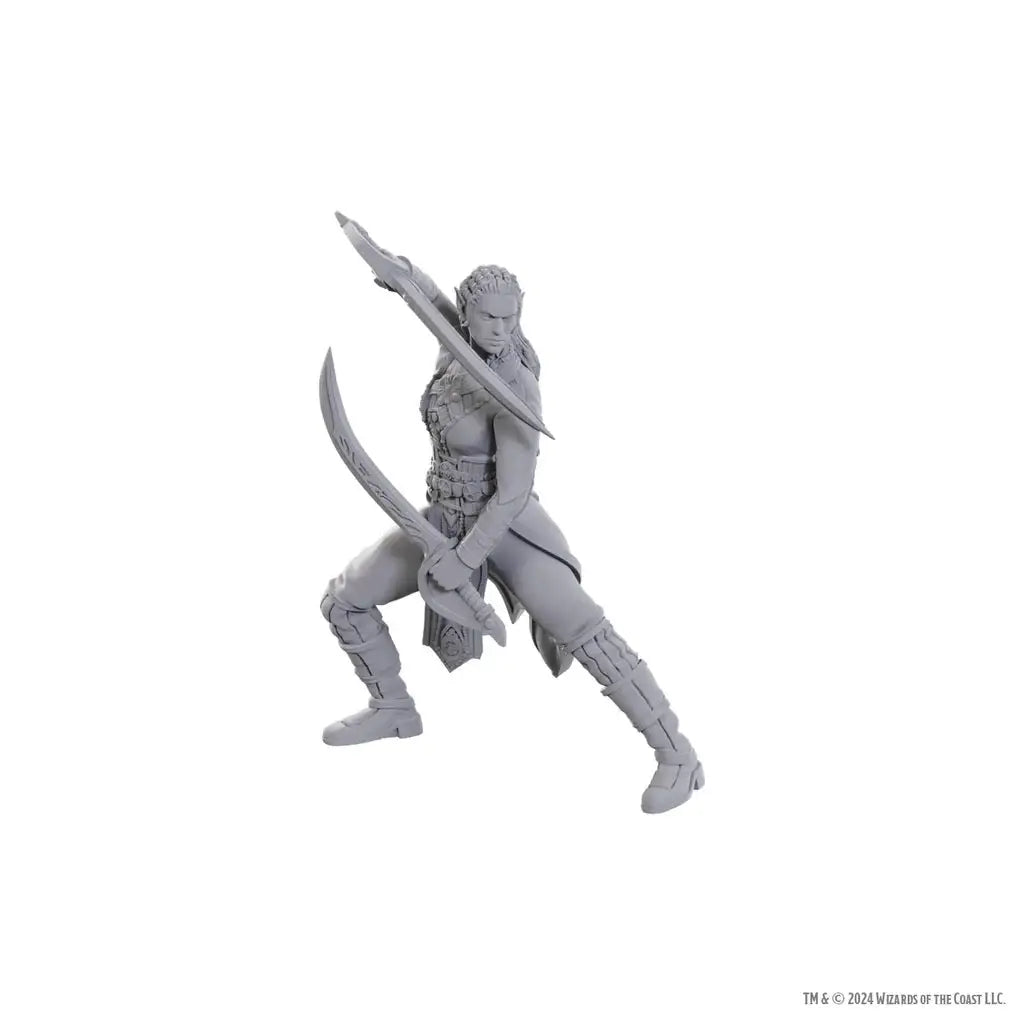 D&D Nolzur’s Marvelous Miniatures: Special Edition Baldur’s Gate 3, Jaheira & Halsin - Miniatures - RPG