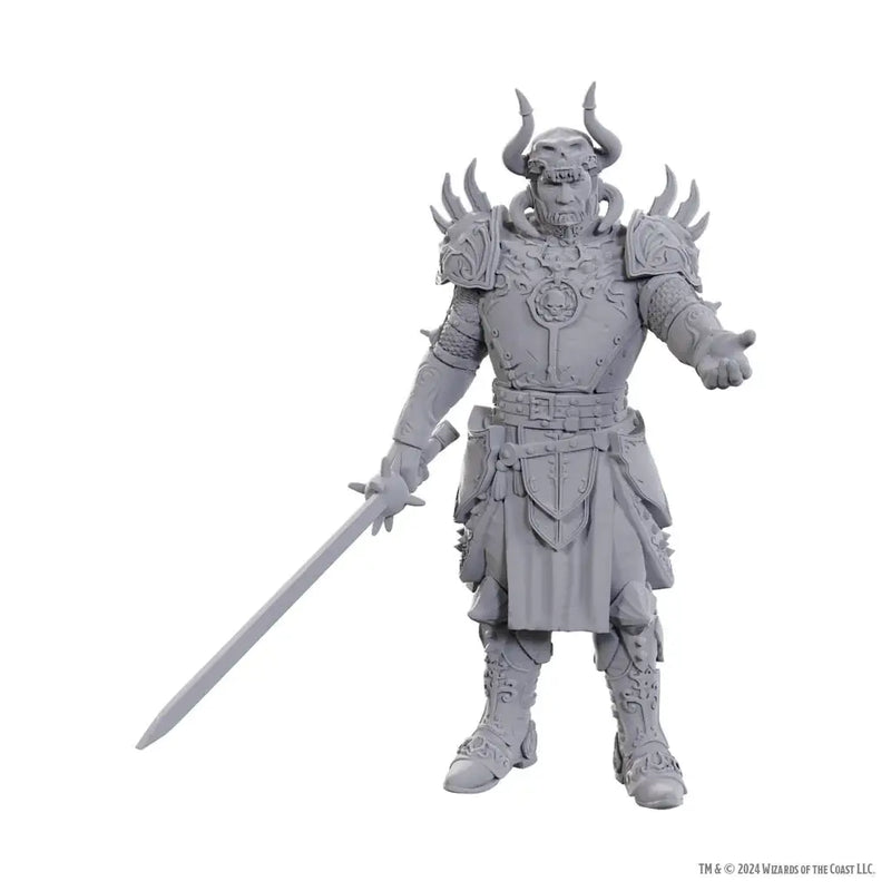 D&D Nolzur’s Marvelous Miniatures: Special Edition Baldur’s Gate 3 — Sarevok Anchev & Raphael - Collectibles & Toys