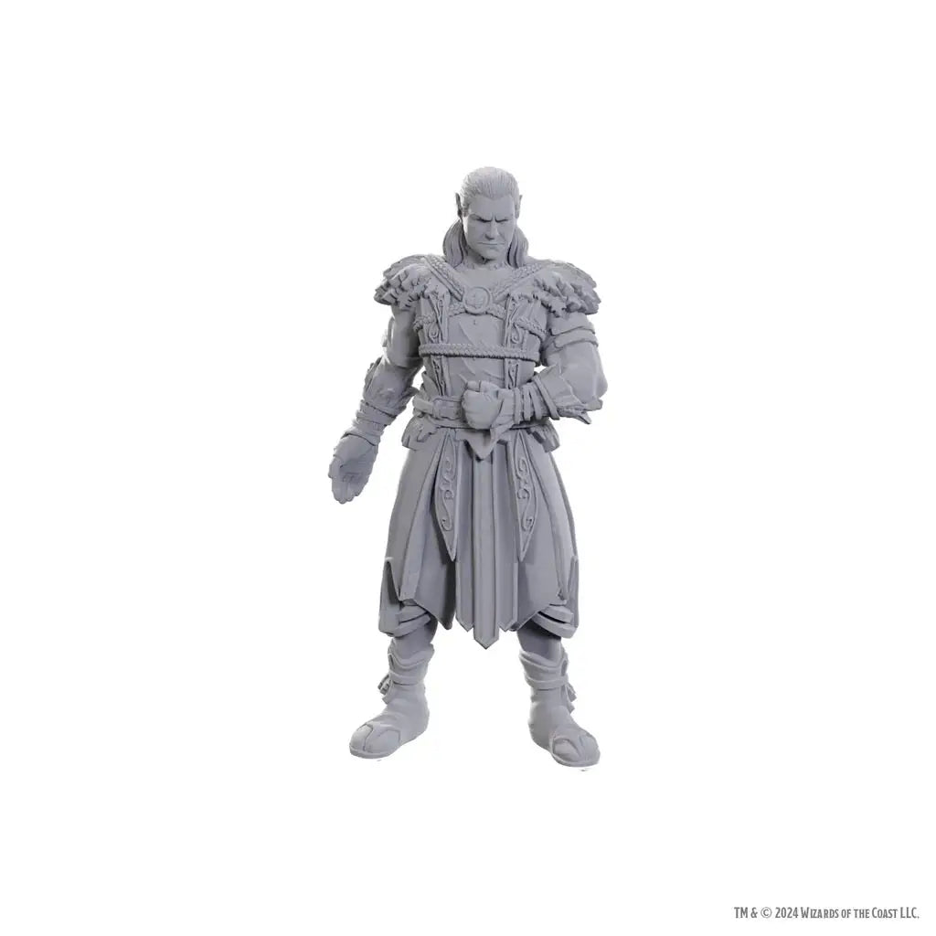 D&D Nolzur’s Marvelous Miniatures: Special Edition Baldur’s Gate 3, Jaheira & Halsin - Miniatures - RPG