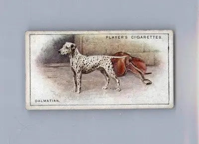 Dalmatian - 1925 Player’s Dogs (Small) - #9 - Very good - Non-Sports Card Single