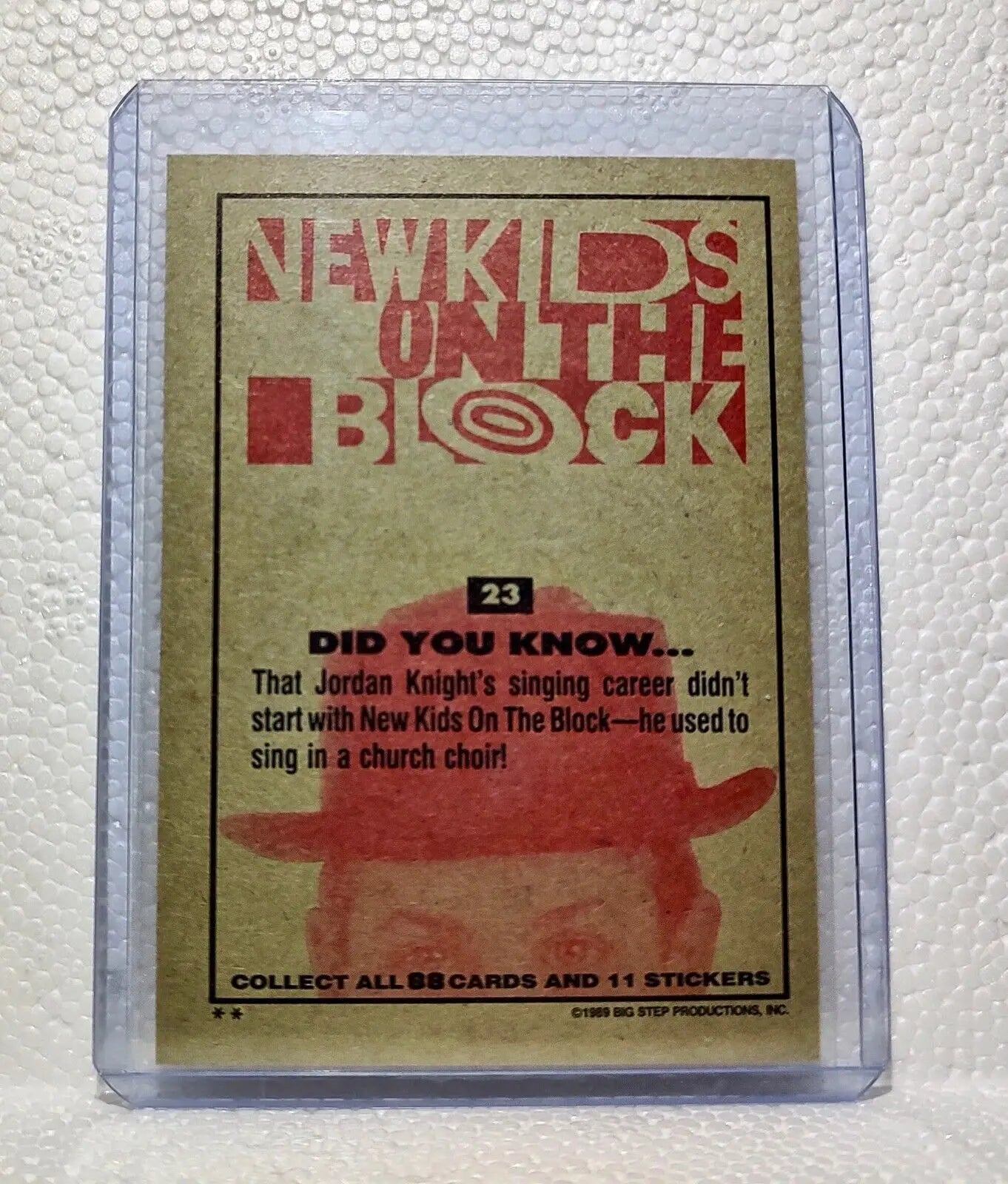 Did You Know 1989 New Kids on the Block #23 Trading Card - Other