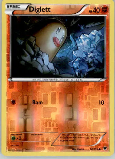 Diglett - XY - Fates Collide - 36/124 - Reverse Holo LP - Pokémon Card Single
