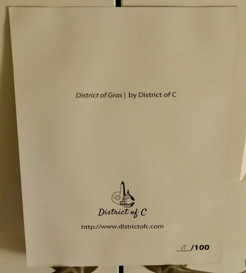 District of Gras - District of C Limited Edition Framed Art Print - Other