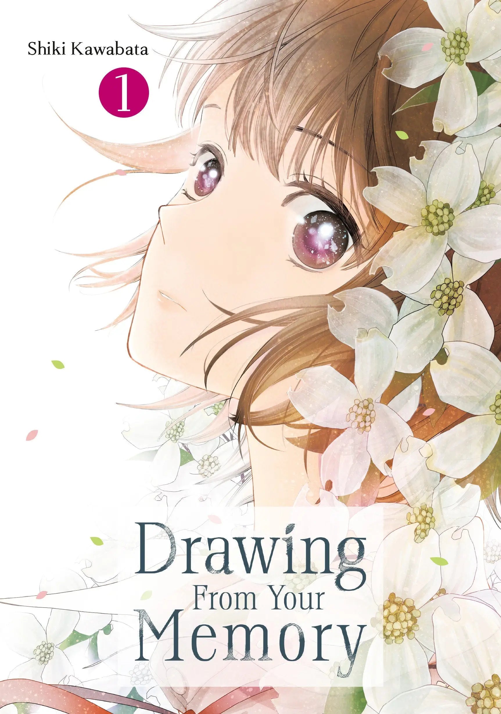 Drawing From Your Memory 1 - Graphic Novels