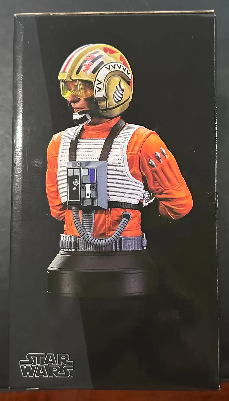 Luke Skywalker bust from DST Gentle Giant Star Wars Hope Red Leader mini bust collection