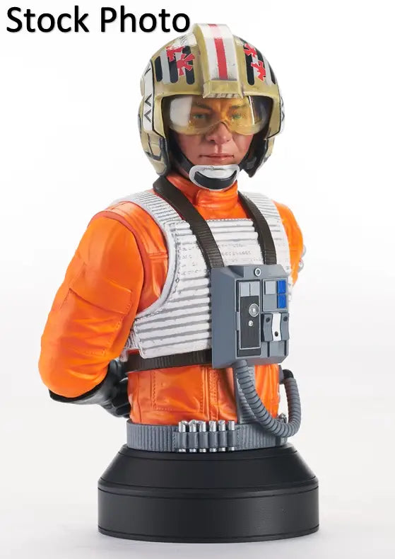 Luke Skywalker bust from Star Wars Hope Red Leader mini bust by Gentle Giant