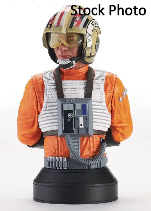 Luke Skywalker bust from DST Gentle Giant Hope Red Leader Star Wars mini bust