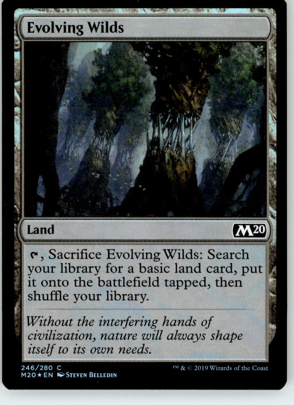 Evolving Wilds - Core Set 2020 - 246 - Foil LP Magic: The Gathering