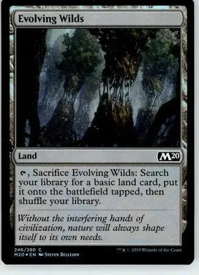 Evolving Wilds - Core Set 2020 - 246 - Foil LP Magic: The Gathering - Magic Card Single