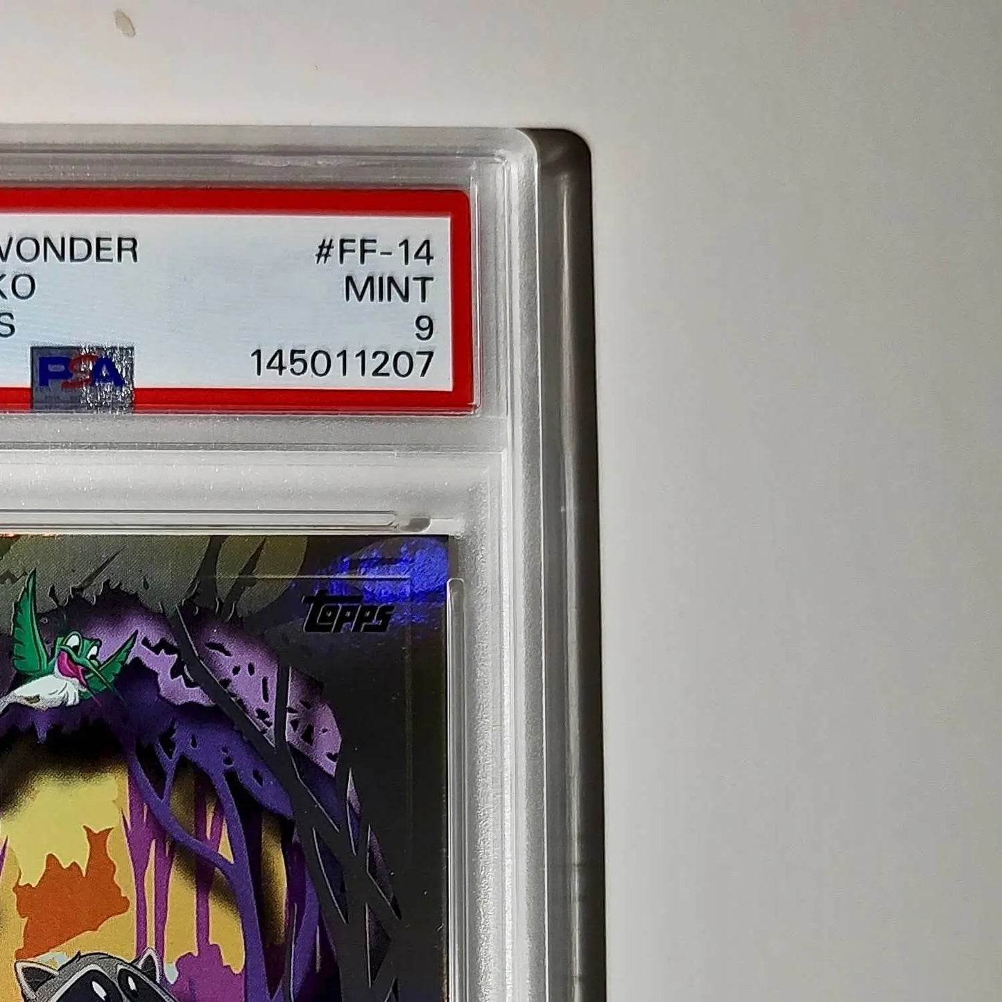 Flit and Meeko 2025 Topps Disney #FF-14 Furry Friends Card Pocahontas PSA 9 - Non-Sports Card Single