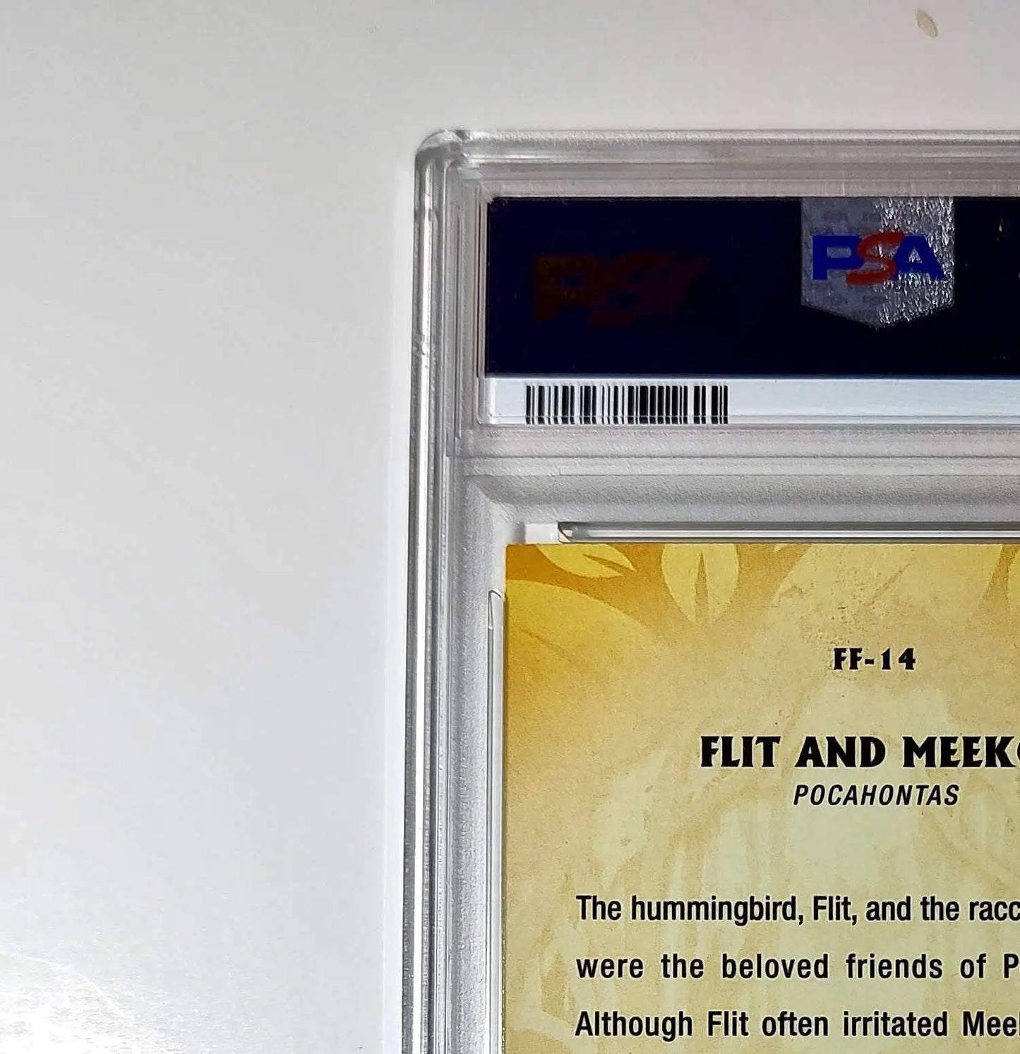 Flit and Meeko 2025 Topps Disney #FF-14 Furry Friends Card Pocahontas PSA 9 - Non-Sports Card Single