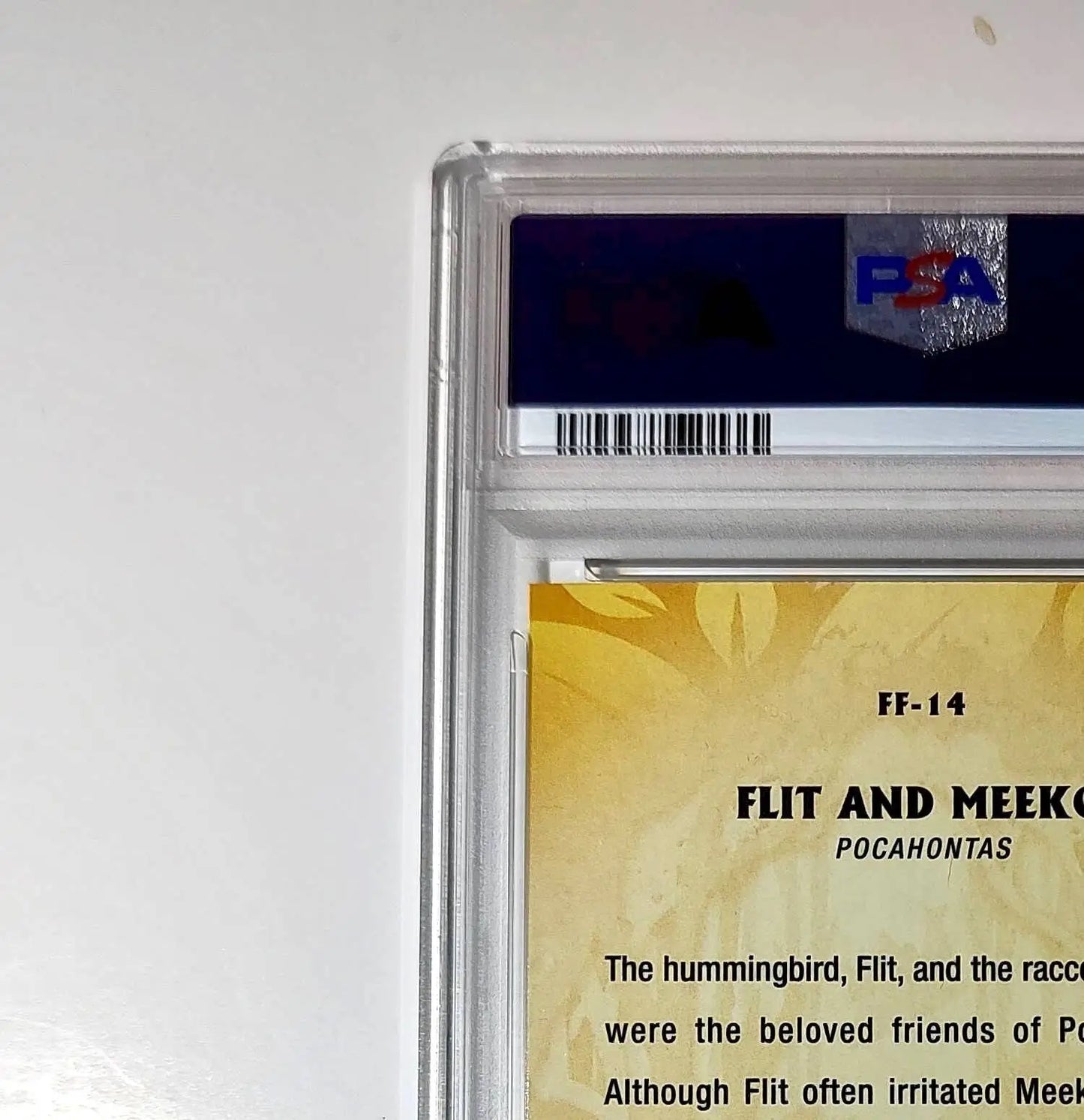 Flit and Meeko 2025 Topps Disney #FF-14 Furry Friends Card Pocahontas PSA 9 MT - Non-Sports Card Single