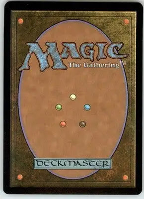 Forest (248) - Full Art - Zendikar - 248 - LP - Magic Card Single