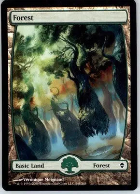 Forest (248) - Full Art - Zendikar - 248 - LP - Magic Card Single