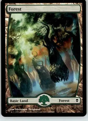 Forest (248) - Full Art - Zendikar - 248 - LP Magic: The Gathering - Magic Card Single