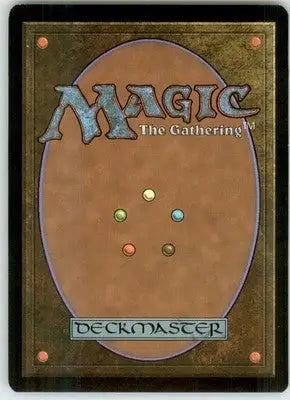 Forest (248) - Full Art - Zendikar - 248 - NM - Magic Card Single