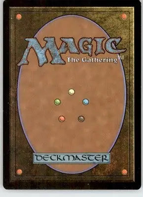 Forest (254) - Full Art - Amonkhet - 254 - LP Magic: The Gathering - Magic Card Single